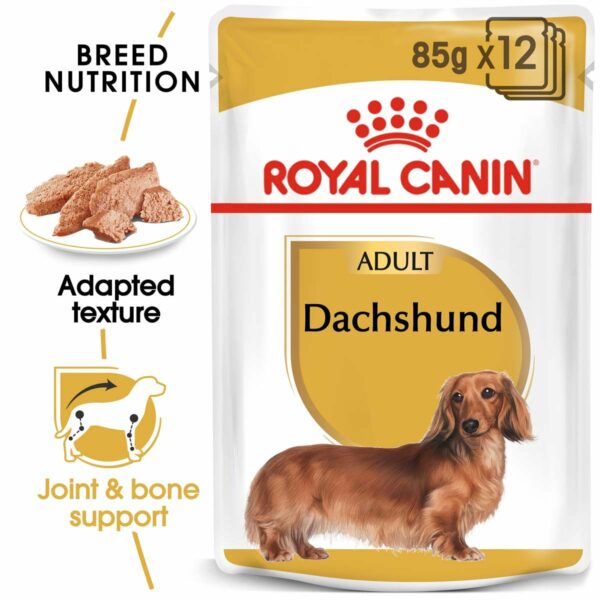 ROYAL CANIN Dachshund Adult Hundefutter nass für Dackel 12x85g