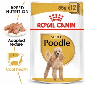 ROYAL CANIN Poodle Adult in Soße Hundefutter nass für Pudel 12x85g