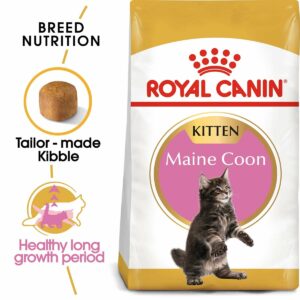 ROYAL CANIN Maine Coon Trockenfutter für Kätzchen 10 kg