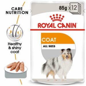 ROYAL CANIN COAT CARE Nassfutter für glänzendes Fell 12x85g