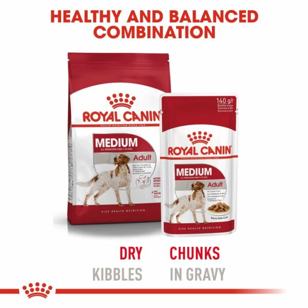 ROYAL CANIN Medium Adult 4kg + Medium Adult in Soße 10x140g