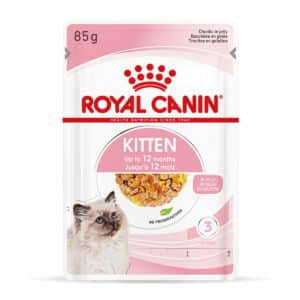 ROYAL CANIN KITTEN Nassfutter in Gelee für Kätzchen 12x85g