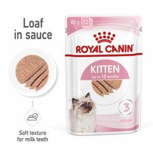 ROYAL CANIN KITTEN Nassfutter in Mousse für Kätzchen 48x85g