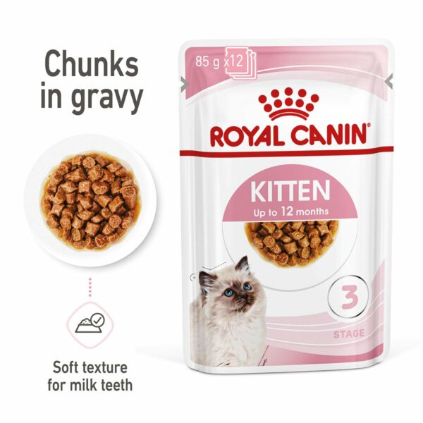 ROYAL CANIN KITTEN Nassfutter in Soße für Kätzchen 12x85g