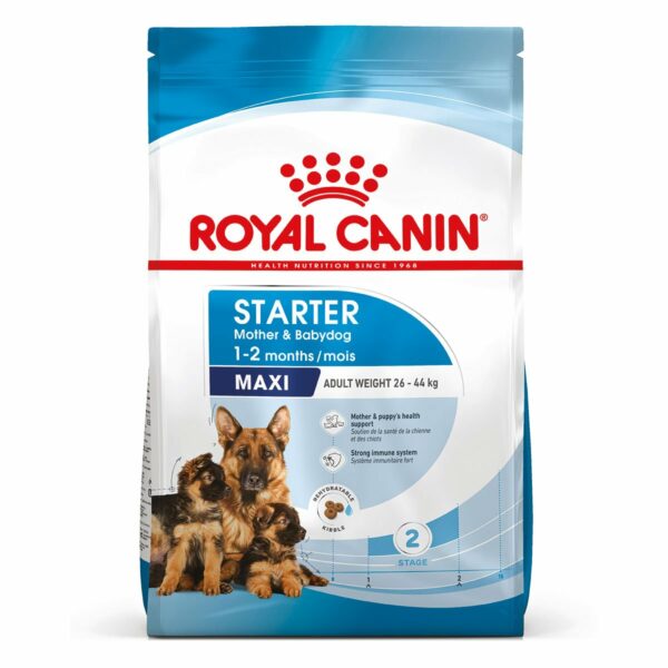 ROYAL CANIN MAXI Starter für tragende Hündin und Welpen großer Rassen 15kg