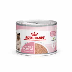 ROYAL CANIN MOTHER & BABYCAT Mousse für tragende Katzen und Kitten 12x195g