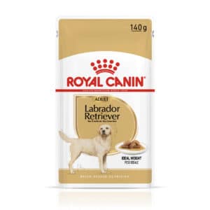 ROYAL CANIN Labrador Retriever Adult Stückchen in Soße Nassfutter für Hunde 10x140g