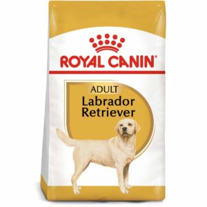 ROYAL CANIN Labrador Retriever Adult Hundefutter trocken 12kg