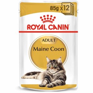 ROYAL CANIN Maine Coon Adult Katzenfutter nass 12x85g