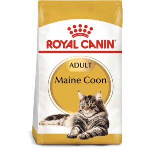 ROYAL CANIN Maine Coon Adult Katzenfutter trocken 2kg