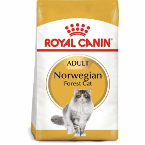 ROYAL CANIN Norwegian Forest Cat Adult Trockenfutter für Norwegische Waldkatzen 2x10kg