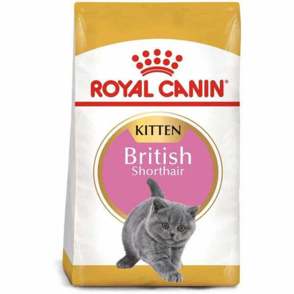 ROYAL CANIN British Shorthair Kittenfutter trocken für Kätzchen 2kg