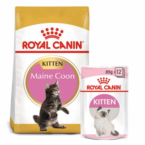 ROYAL CANIN KITTEN Maine Coon 4kg + Kitten in Soße 12x85g