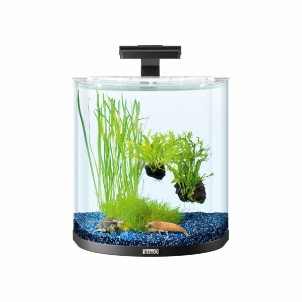 Tetra AquaArt Explorer Line Halfmoon Komplett-Set 30l anthrazit