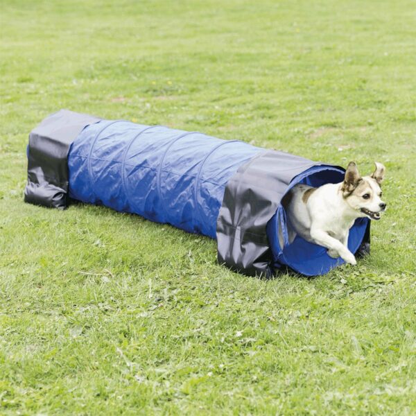 Dog Activity Agility Tunnel