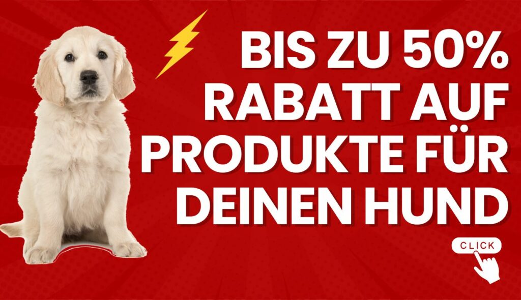 Aktion Hund